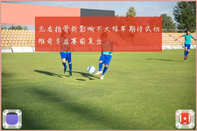 无名指骨折影响不大绿军期待武切维奇季后赛前复出